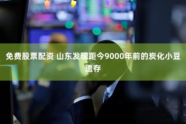 免费股票配资 山东发现距今9000年前的炭化小豆遗存
